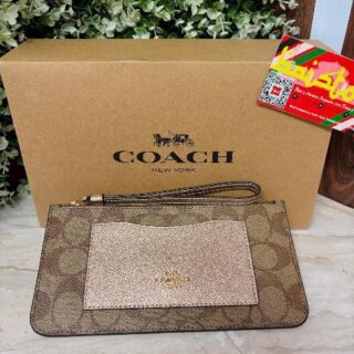 Wistrlet Coach